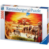 Puzzle savana 3000 piese, Ravensburger