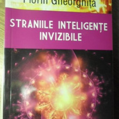 STRANIILE INTELIGENTE INVIZIBILE-FLORIN GHEORGHITA