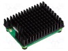 Accessories: heatsink Compute Module 5 heatsink,thermal pad