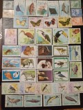 CUBA, FAUNA - SERII ȘTAMPILATE