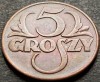 Moneda istorica 5 GROSZY - POLONIA, anul 1938 * cod 5211 = excelenta!, Europa