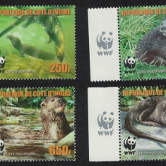 COASTA DE FILDES 2005 WWF FAUNA PROTEJATA VIDRE