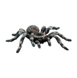 Cumpara ieftin Figurina Bullyland - Tarantula White Knee