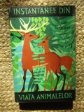 INSTANTANEE DIN VIATA ANIMALELOR de IONEL POP , 1964
