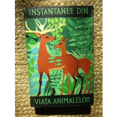 INSTANTANEE DIN VIATA ANIMALELOR de IONEL POP , 1964