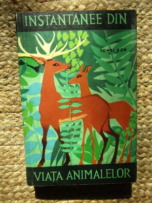 INSTANTANEE DIN VIATA ANIMALELOR de IONEL POP , 1964 foto