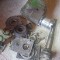 B22 Piese cap de freza FUS 22 25 32 Marghita si Oradea