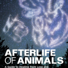 Afterlife of Animals: A Guide to Healing from Loss and Communicating with Your Beloved Pet