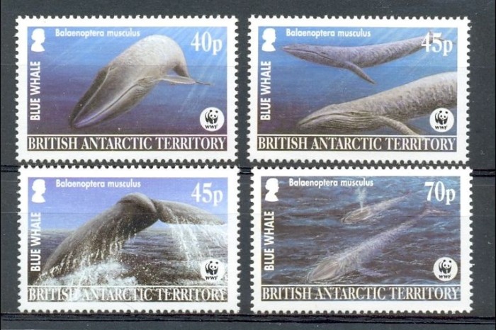 BRITISH ANTARCTIC TERRITORY 2003 WWF FAUNA PROTEJATA BALENE