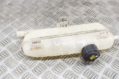 Vas de expansiune RENAULT ZOE BFM_ 2015 OEM: 217101652R 17887028 foto