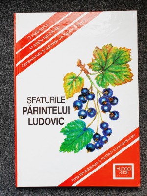 SFATURILE PARINTELUI LUDOVIC foto