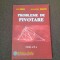 Probleme de pivotare - Dan Branzei /ALEXANDRU NEGRESCU