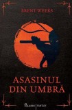 Asasinul din umbră (Vol. 1) - Hardcover - Brent Weeks - Paladin
