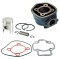 Set motor Piaggio NRG, Aprilia 80cc - 5 colturi