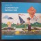 CONSTRUCTII INSTRUCTIVE - Claudiu Voda