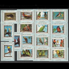 Pasari - Papagali - Umm Al Qiwain 1972