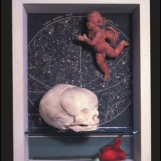 Beyond the Brain-Birth: Birth, Death, and Transcendence in Psychotherapy