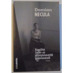ISPITA INTR-O DIMINEATA PLOIOASA , 2001