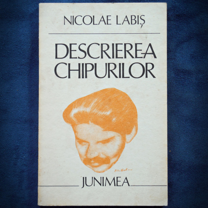 DESCRIEREA CHIPURILOR - NICOLAE LABIS