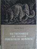 VIETUITOARELE DIN TRECUTUL PAMANTULUI ROMANESC-MIRCEA PAUCA