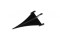 icon 5