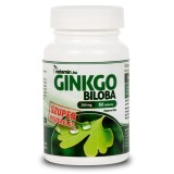 Tablete Ginkgo Biloba 300 mg Netamin 60 buc