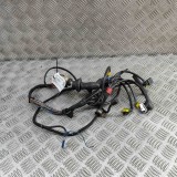 Cablaj ușă st&acirc;nga față FERRARI 575 MARANELLO 2003 OEM: 193195 31318173