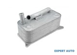 Radiator racire ulei Audi A6 (2004-2008) [4F2, C6] #1