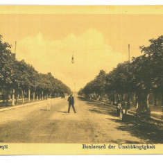 5541 - PLOIESTI, Ave. Bike, Romania - old postcard, CENSOR - used - 1917