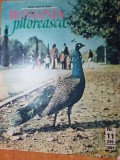 romania pitoreasca noiembrie 1991-barbatesti valcea,govora,avrig,vatra dornei