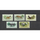 ETHIOPIA 1966 FAUNA ANIMALE SALBATICE