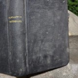 Enciclopedia veterinara. Cresterea si boalele animalelor domestice - Hortopan Gr.