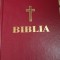 BIBLIA 2023 PREAFERICITUL DANIEL DIMENSIUNI 21/15