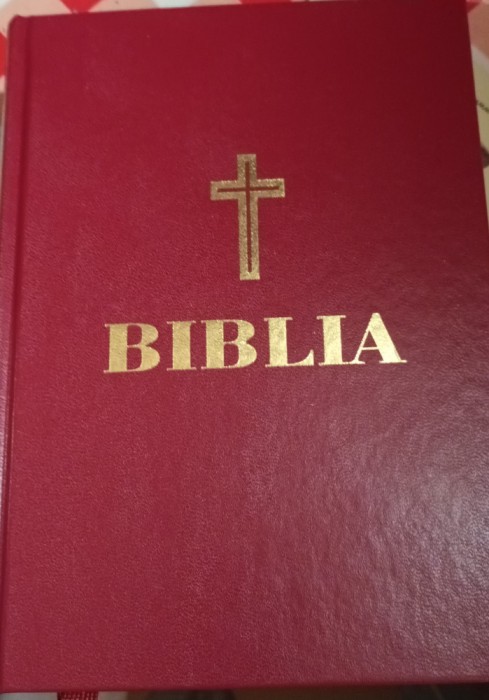 BIBLIA 2023 PREAFERICITUL DANIEL DIMENSIUNI 21/15