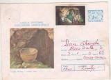 bnk ip Intreg postal 1987 - Pestera Nadrag - Jud Timis - cod 014/87