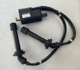 Yamaha FZ6 (RJ14) 2007-2009 Bobina inductie 1-4