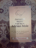 a8 Jurnalul secret al lui Adrian Mole - Sue Townsend (carte noua)