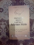 a8 Jurnalul secret al lui Adrian Mole - Sue Townsend (carte noua)