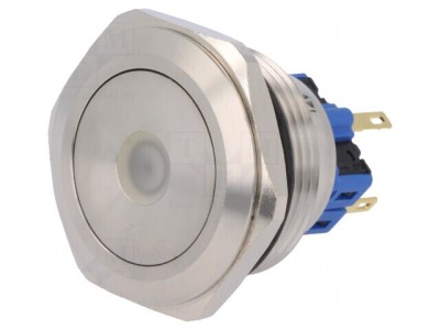 Comutator Anti-Vandalism 2 Poz SPDT 3A/220VAC 5A/24VDC IP65 foto