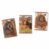 Caiet A5 48f Patratele Motiv Boss Phantom, Herlitz
