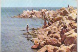 bnk cp Mangalia - Vedere - necirculata