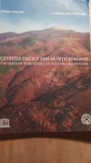 Cetățile dacice din munții Șureanu,Eugen pescaru