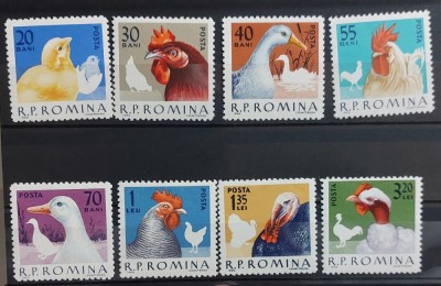 Romania 1963 - Pasari de rasa MNH foto