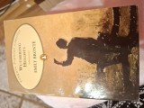 Wuthering Heights - Emily Bronte, Penguin Books