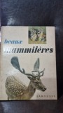 Beaux Mammiferes - Marcel Belvianes