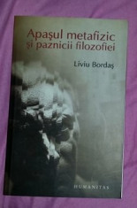 Apasul metafizic si paznicii filozofiei / Liviu Bordas foto