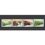 VIETNAM 2022 ARBORI FRUCTE CAFEA