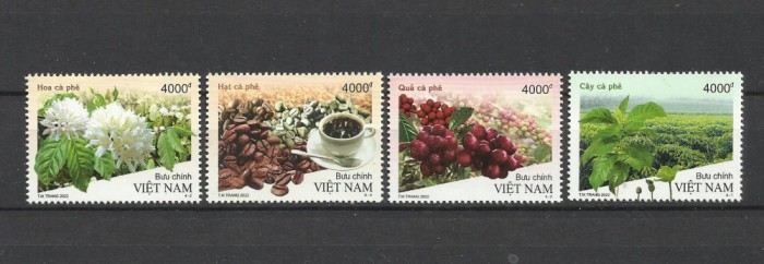 VIETNAM 2022 ARBORI FRUCTE CAFEA