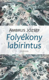 Foly&eacute;kony labirintus - Ambrus J&oacute;zsef