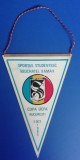 D9 115 - fanion - sport - fotbal - Sportul Studentesc - Neuchatel Xamax - 3 octombrie1985